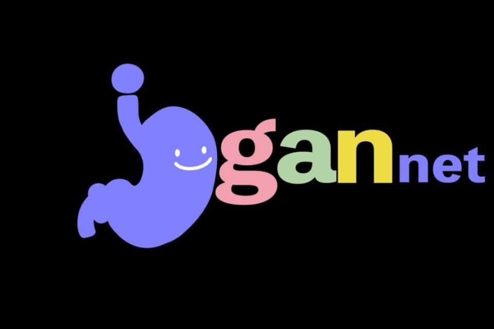 一般社団法人igannetの画像