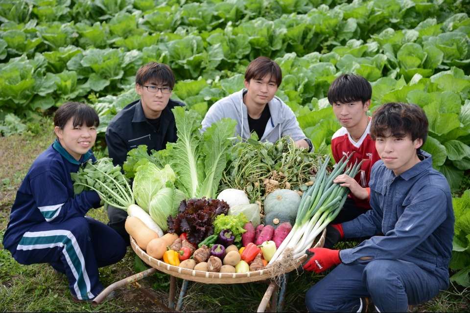 鯉淵学園の画像