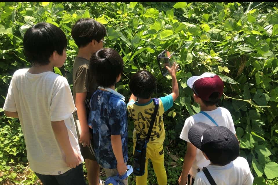 cocoiroの画像