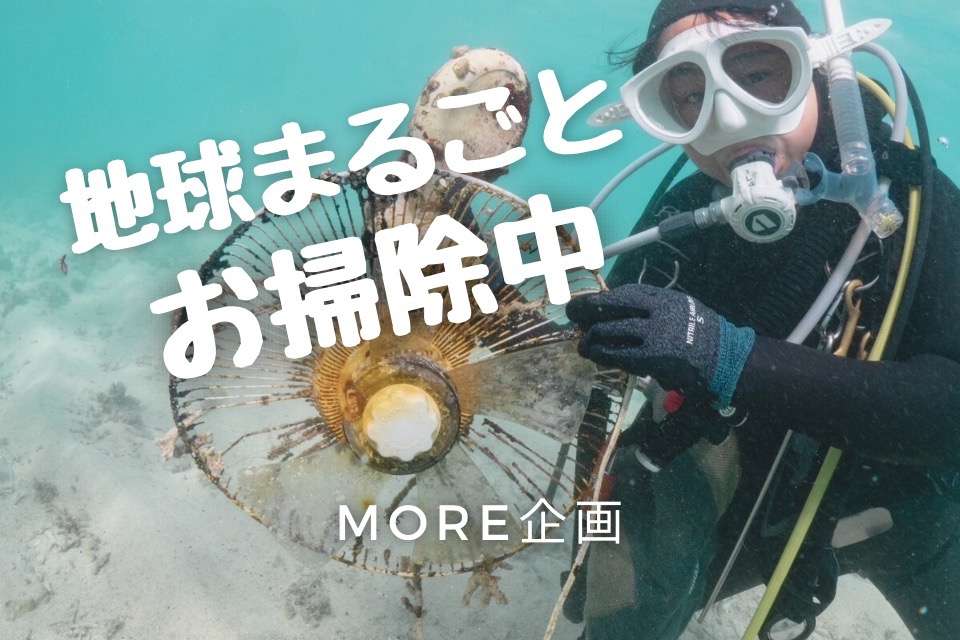 MORE企画の画像