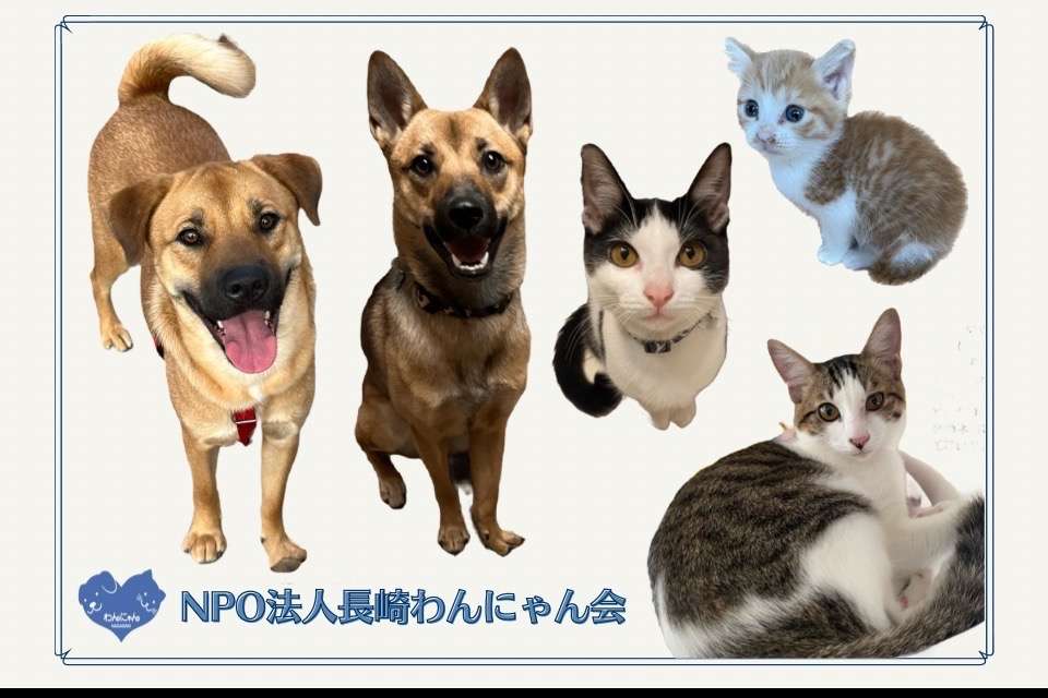 NPO法人長崎わんにゃん会の画像