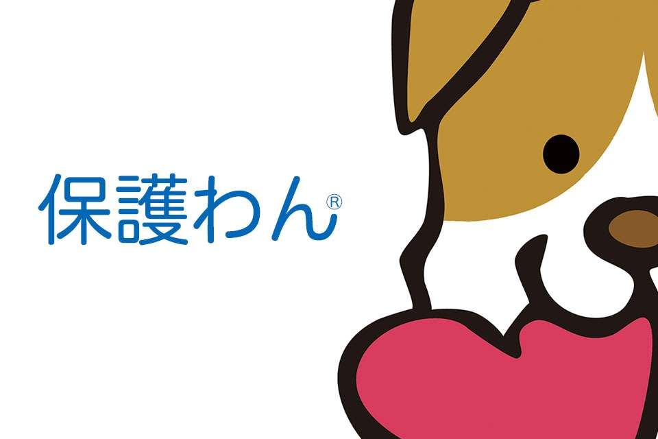 保護わん(保護犬のわんこ)の画像