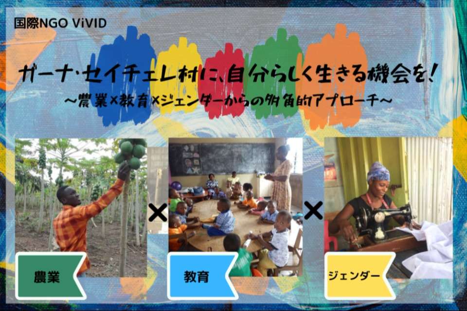 国際NGO ViVIDの画像