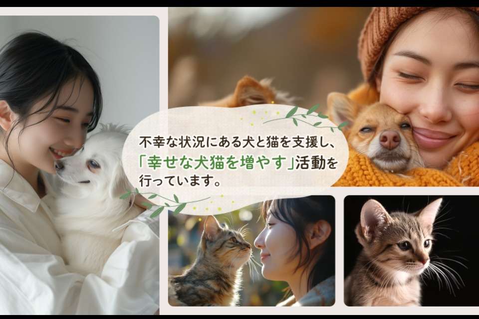 特定非営利活動法人 出逢いの森の画像