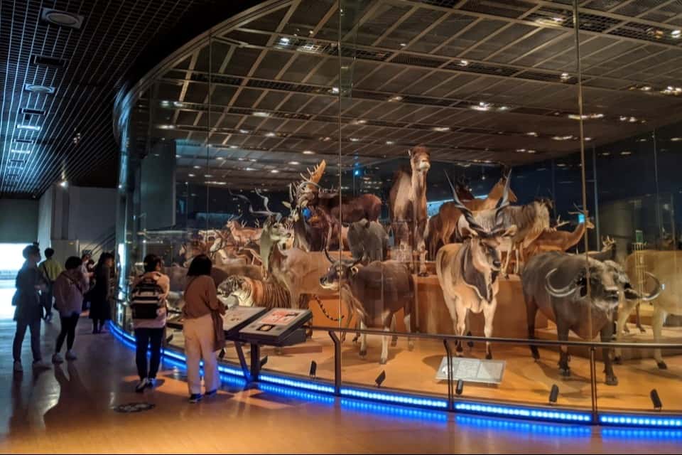 国立科学博物館の画像