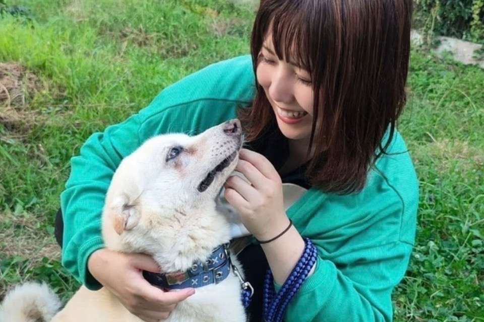 動物福祉団体あにふぁの画像
