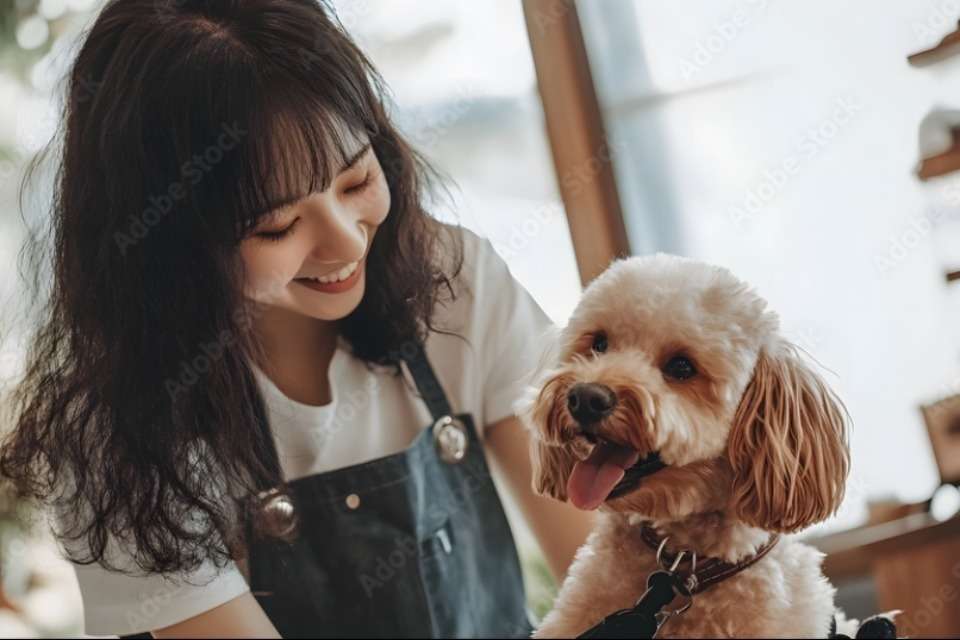 RockCastle財団の画像