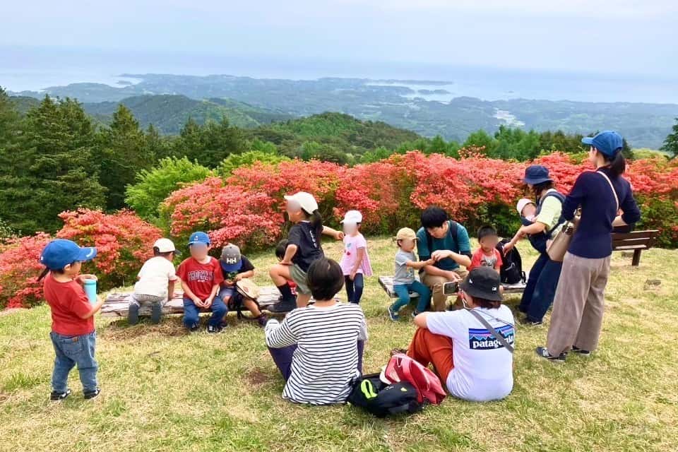 みなはぴの画像