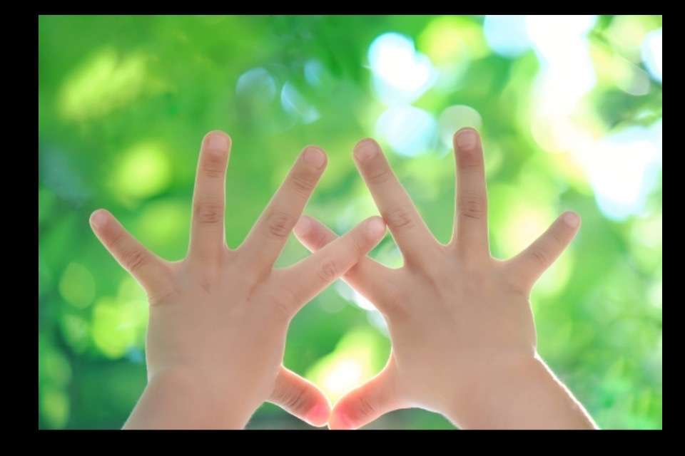 西脇てとて広場の画像