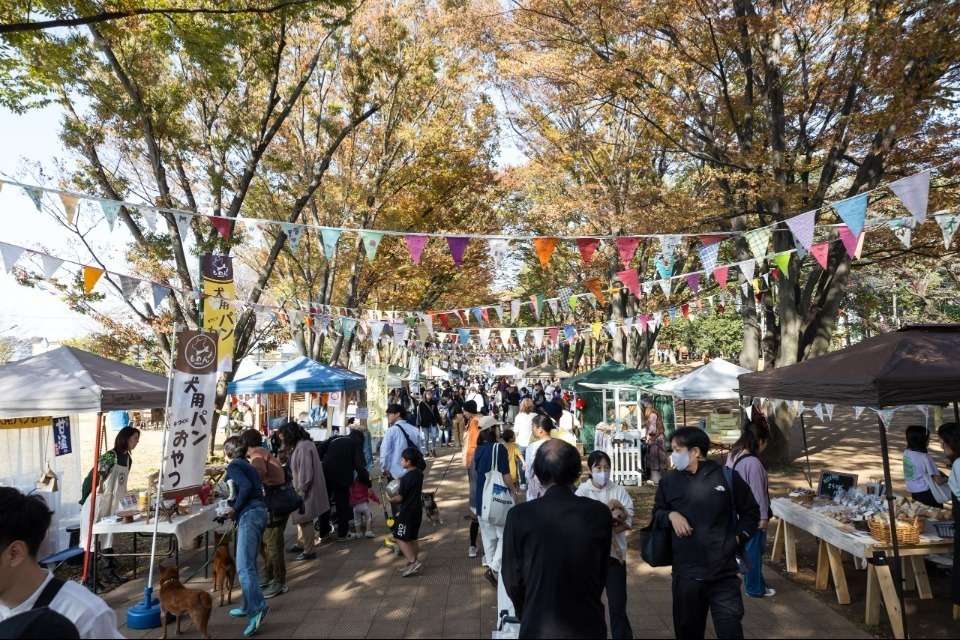 みなみまちだをみんなのまちへの画像