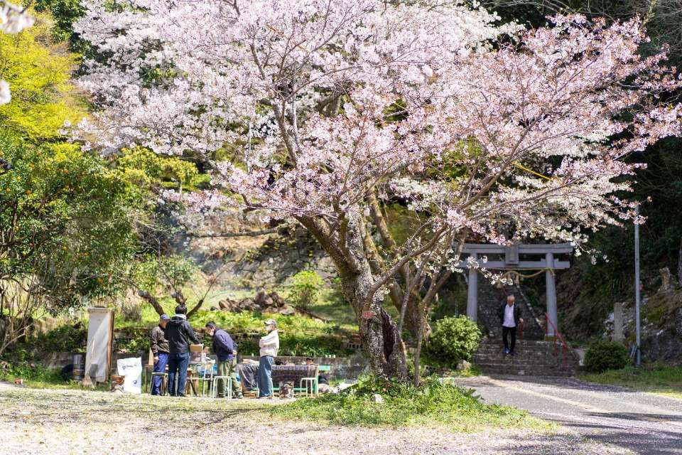 clayの画像