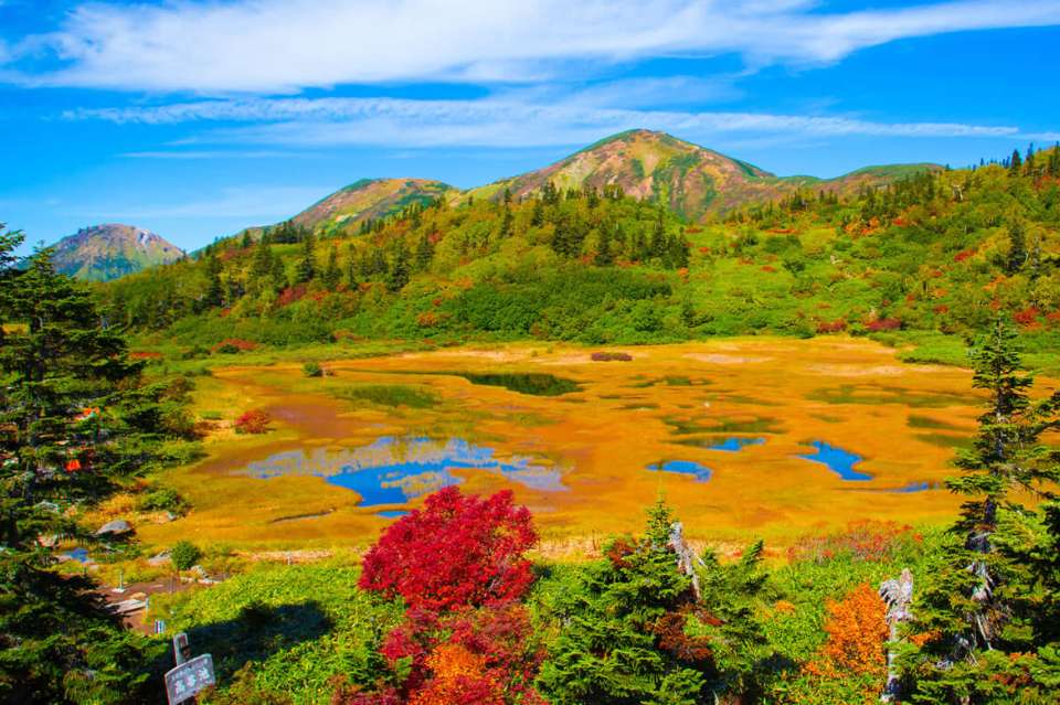 生命地域妙高環境会議 Image