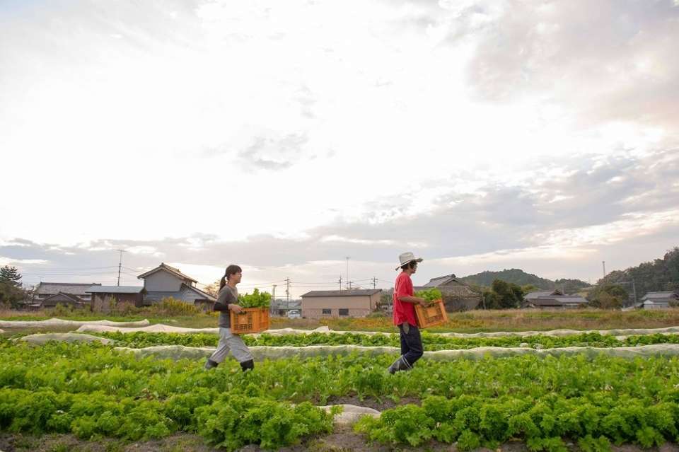 愛農学園農業高等学校の画像