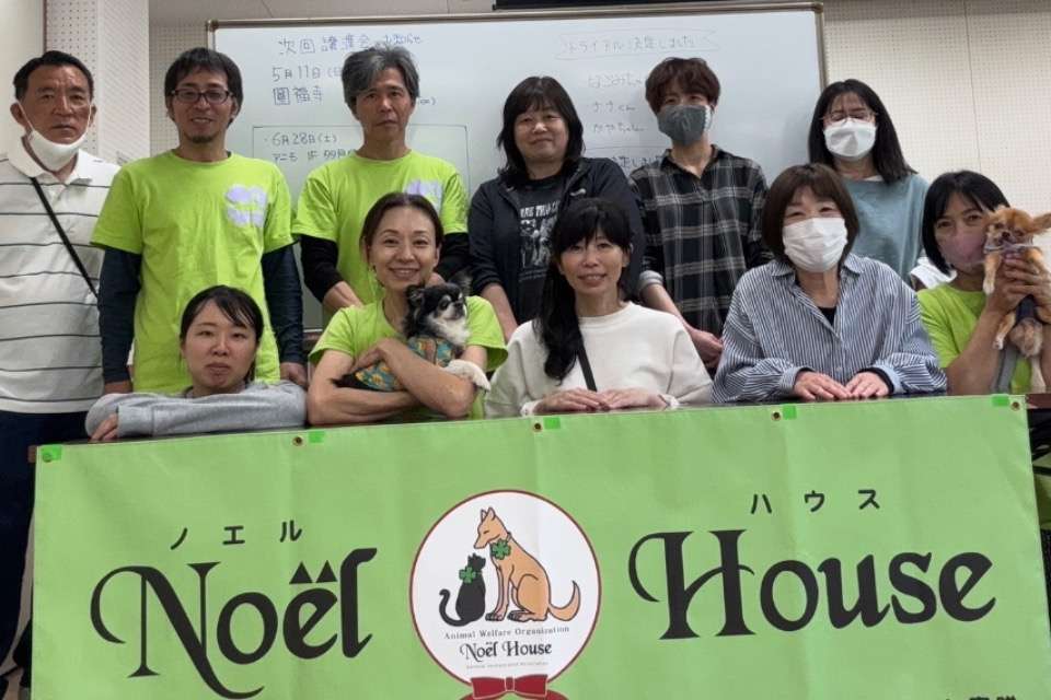 Noel  Houseの画像