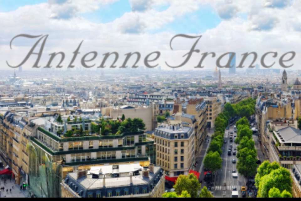 特定非営利活動法人アンテンヌフランスの画像