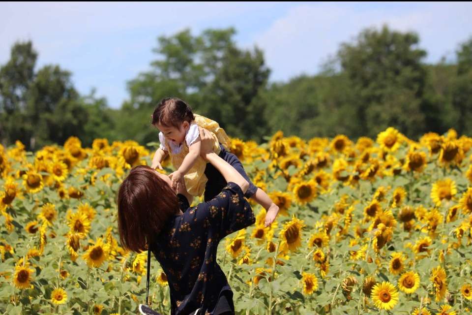 NPO法人駐在親子の笑顔咲かせ心育むHimawariの画像