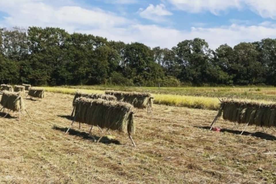みんなのNPO法人の画像