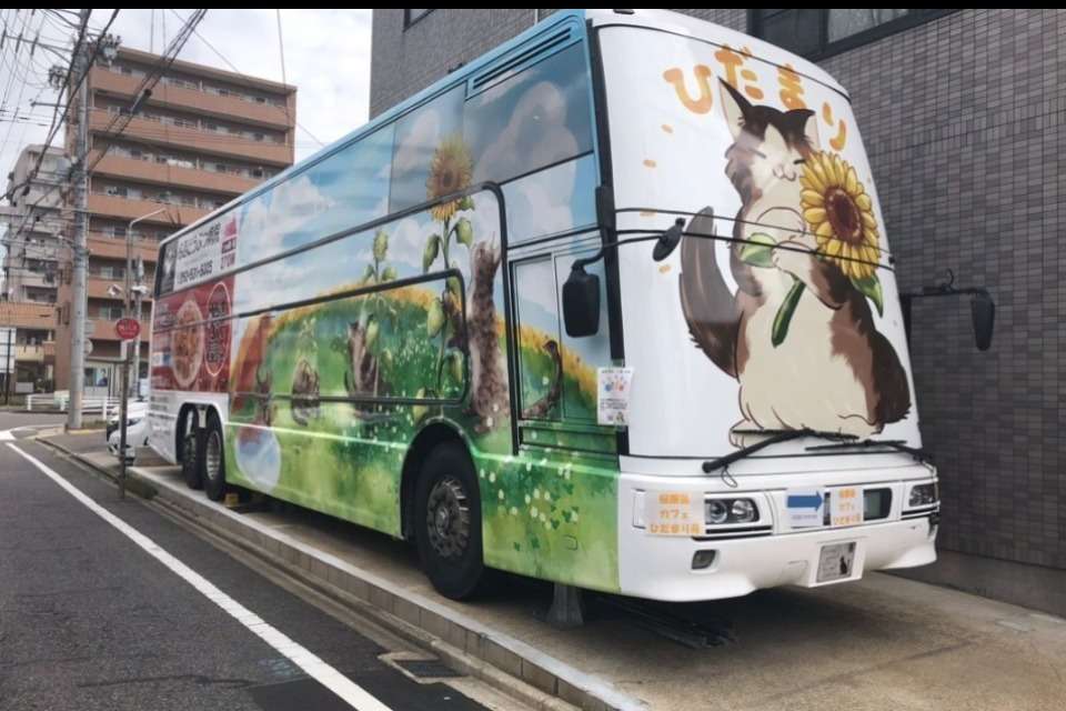 ひだまりの画像