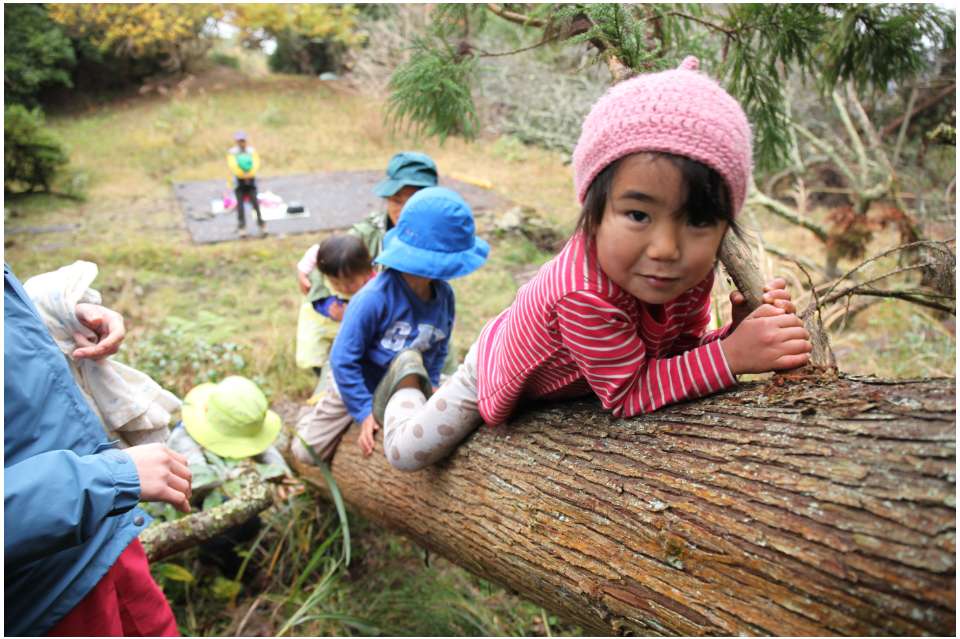 里山保育やまぼうしの画像