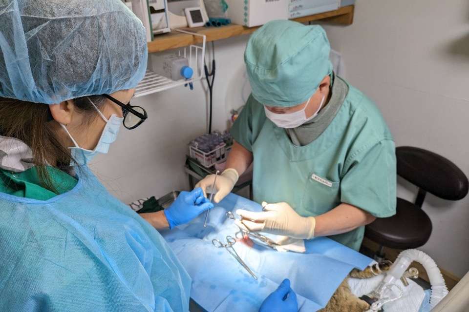 西日本アニマルアシスト Image