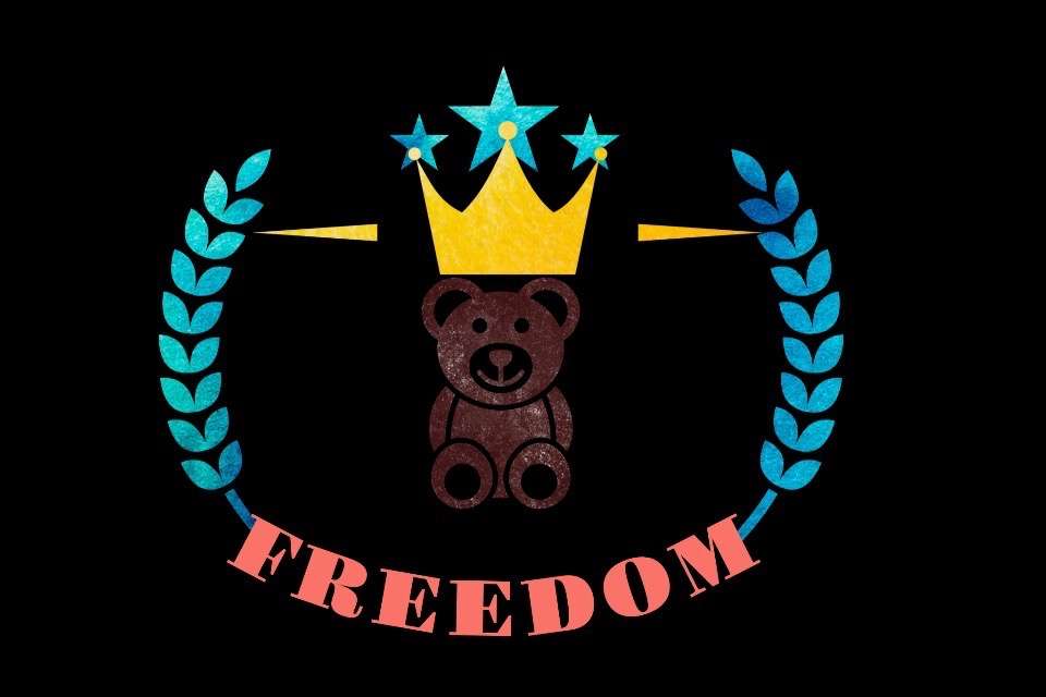 一般社団法人FREEDOMの画像