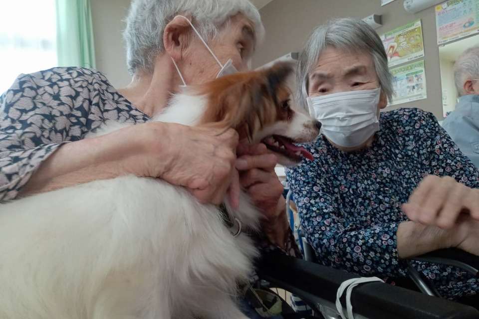 ガジュマルの画像