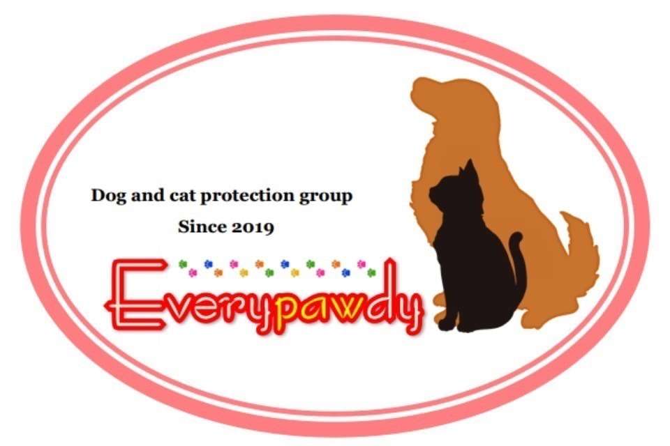 Everypawdyの画像