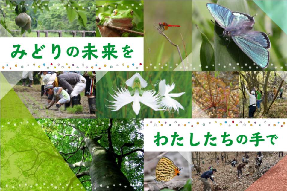 大阪みどりのトラスト協会の画像