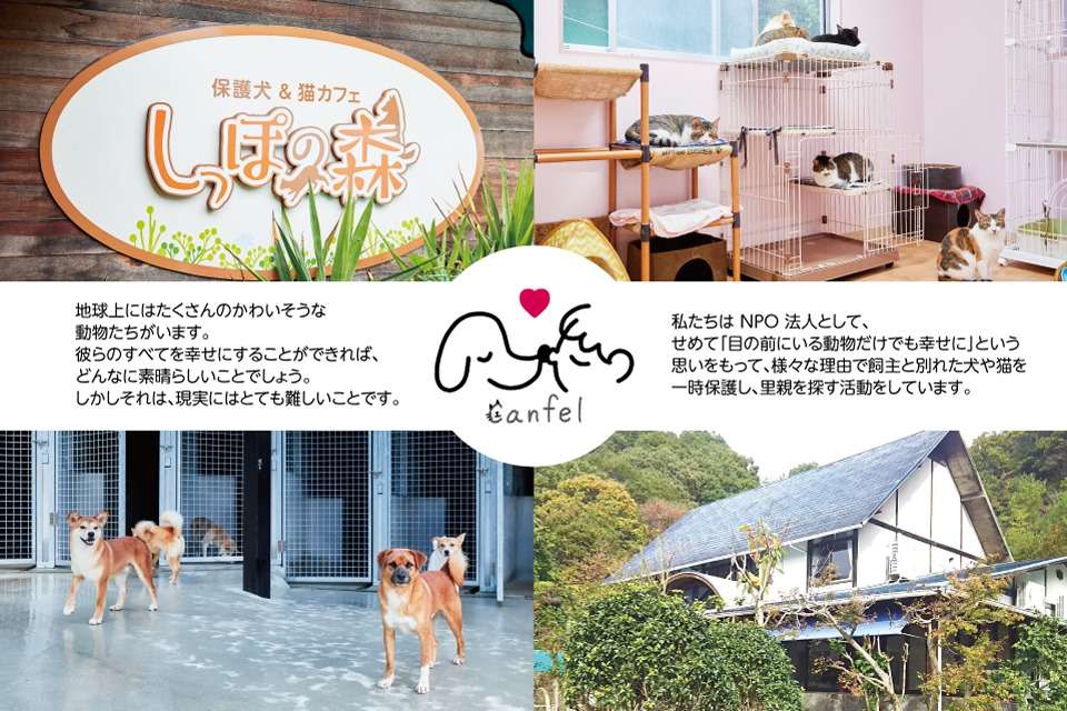 姫路キャンフェル Image