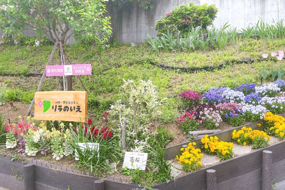 スマイルオブキッズの画像