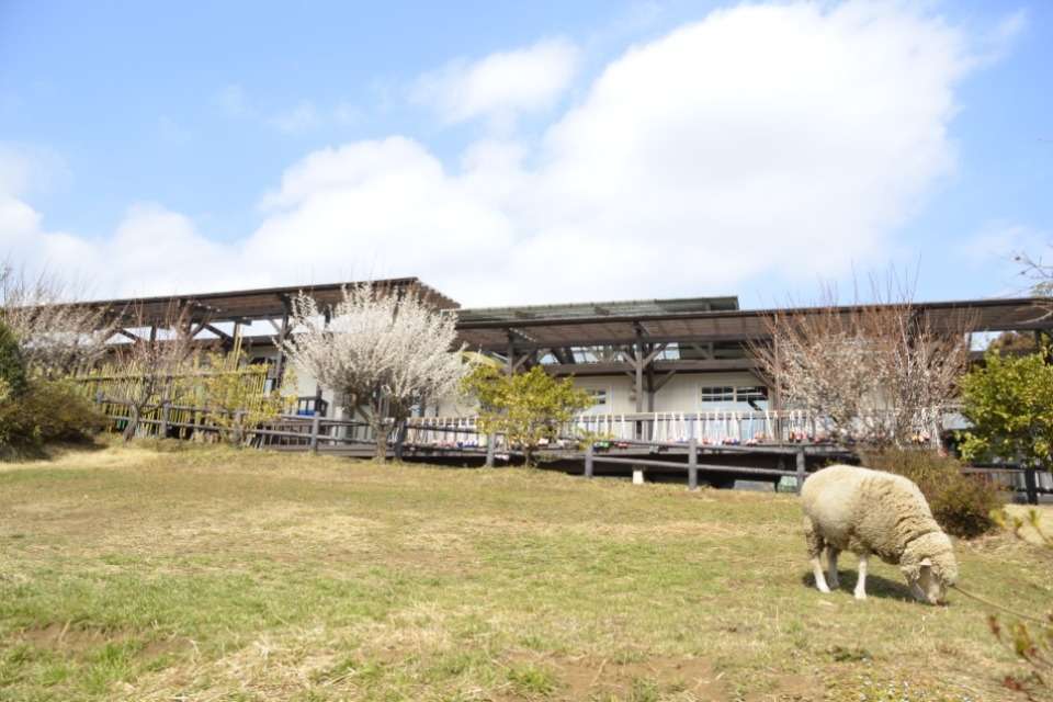風の谷幼稚園の画像