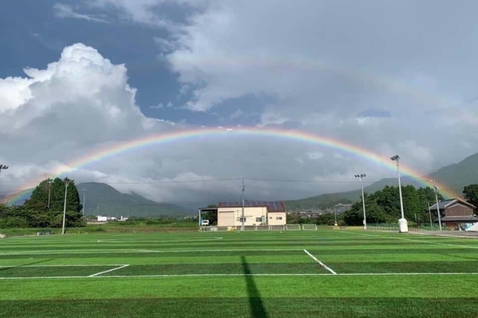 特定非営利活動法人スポーツクラブどんぐりの画像