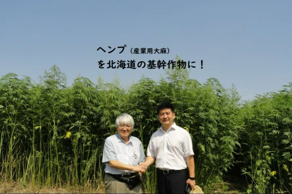 北海道ヘンプ協会の画像