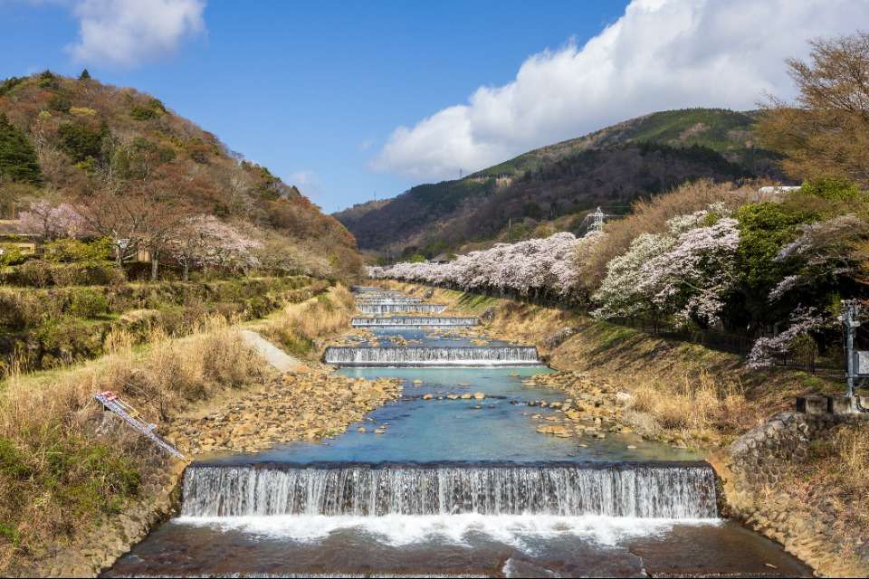 箱根町宮城野木賀観光協会の画像