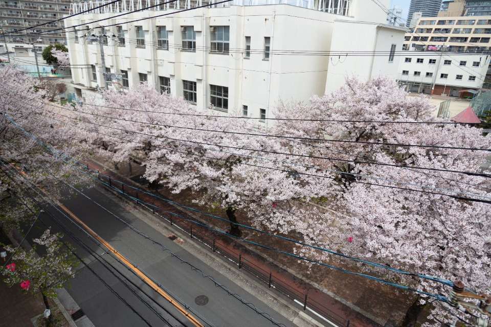 磯路みどりの会の画像