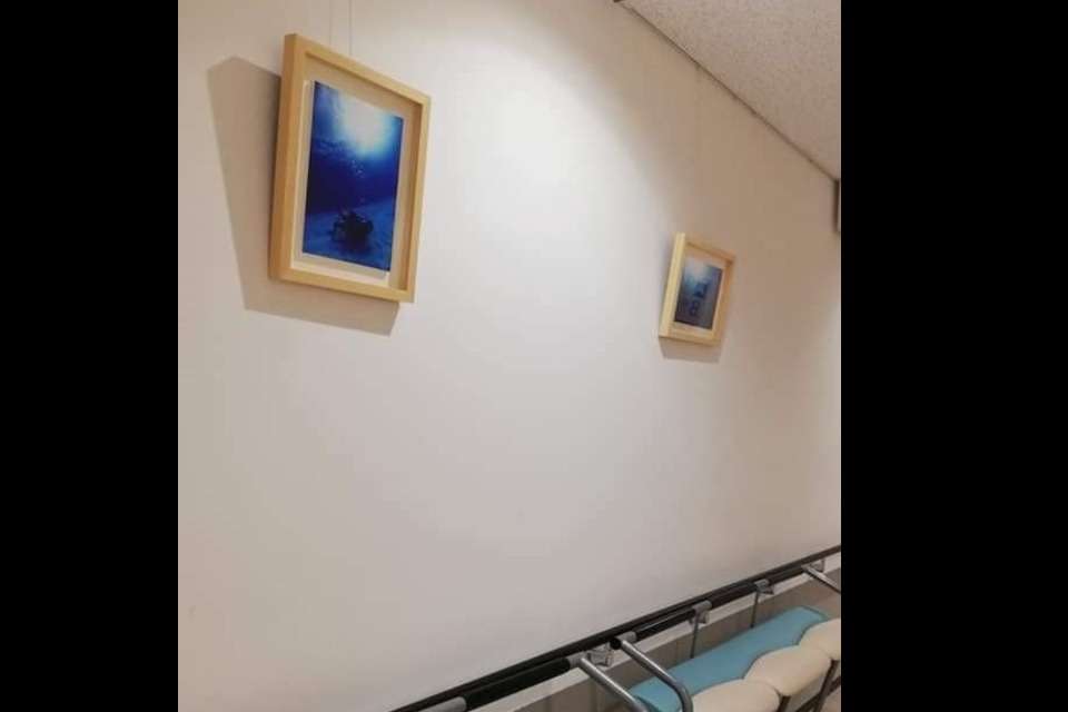 特定非営利活動法人サンライズの画像