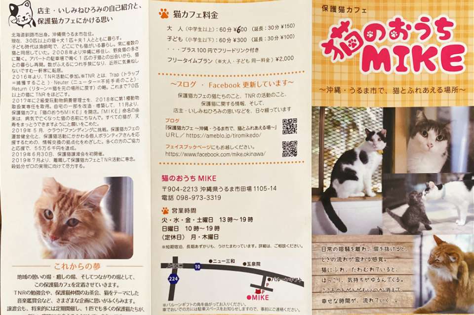 猫のおうちMIKEの画像