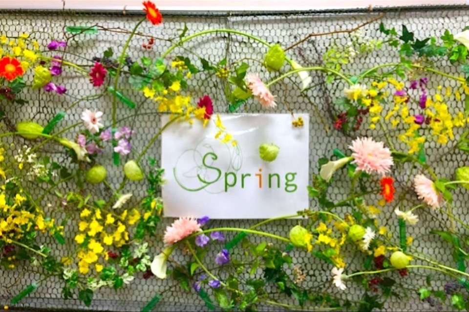 Springの画像