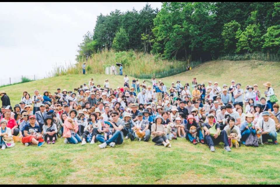 動物保護団体りぼんの画像