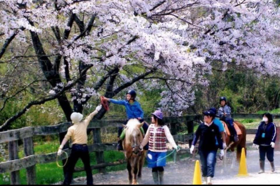 RDA Japanの画像