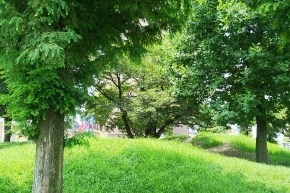Community Life Image