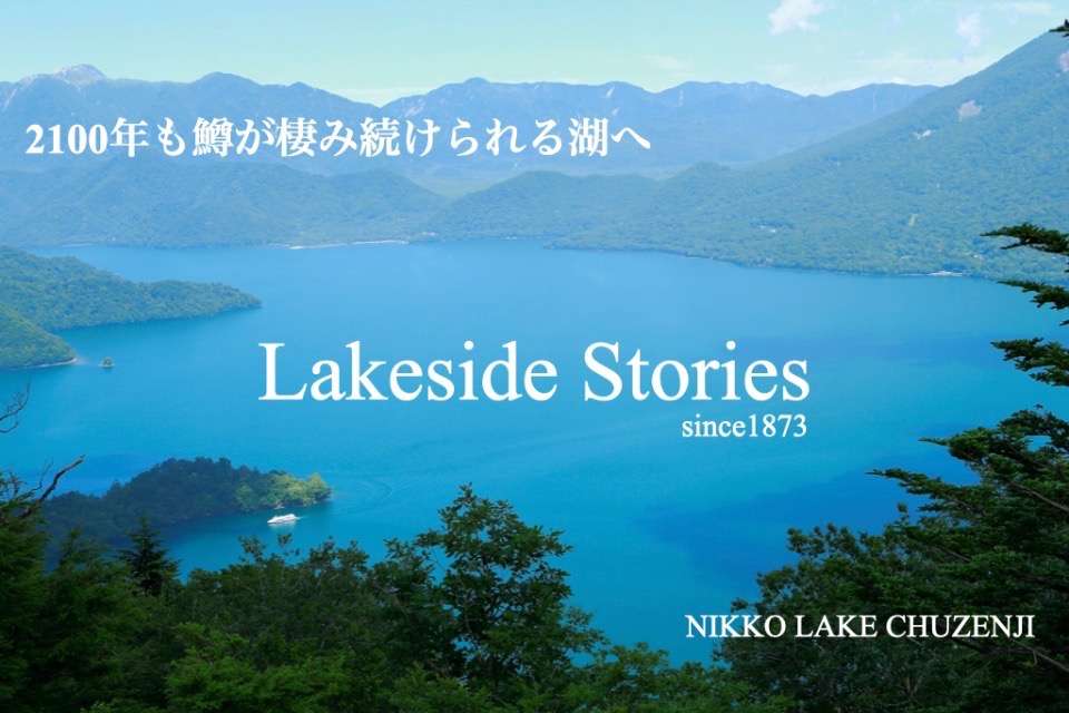 Lakeside Storiesの画像