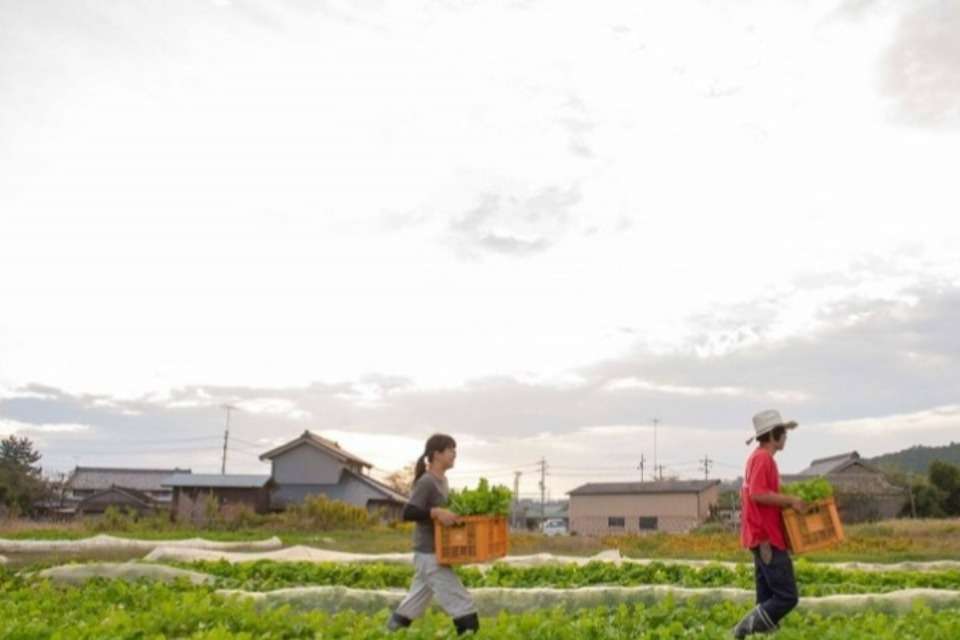 愛農学園農業高等学校（Ainoネイバーズ）の画像