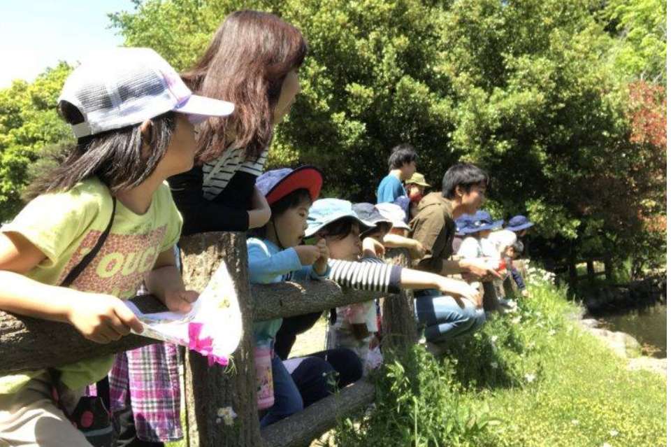 NPO法人 生涯学習サポート兵庫の画像