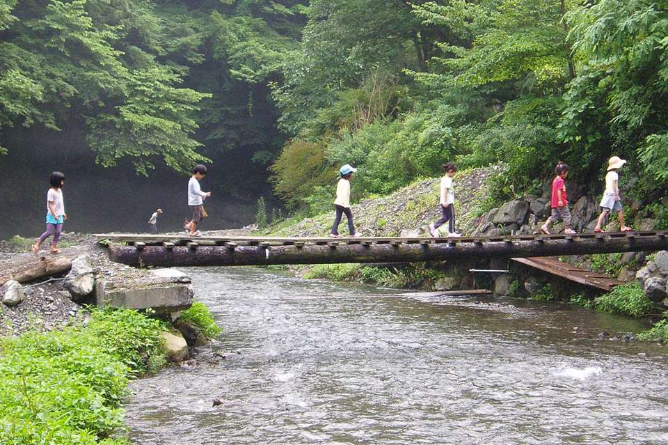 特定非営利活動法人ほうれんぼうの森の画像