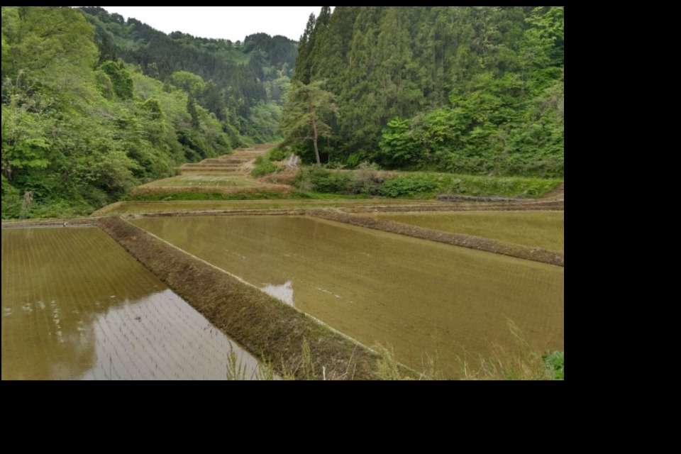 一般社団法人ふるさとけものネットワークの画像