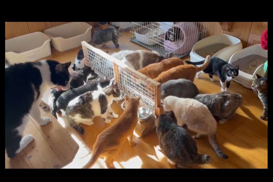 命にやさしいまちづくりハーツの画像