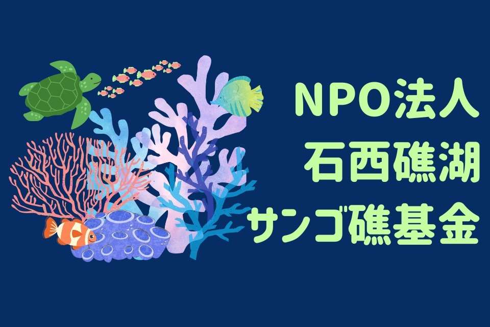 特定非営利活動法人石西礁湖サンゴ礁基金の画像