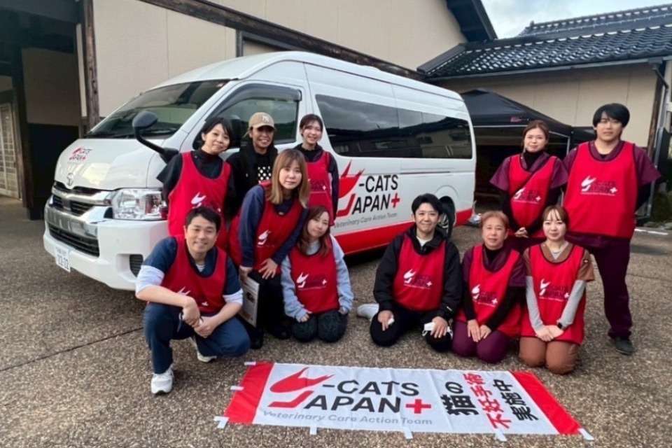 V-CATS JAPANの画像