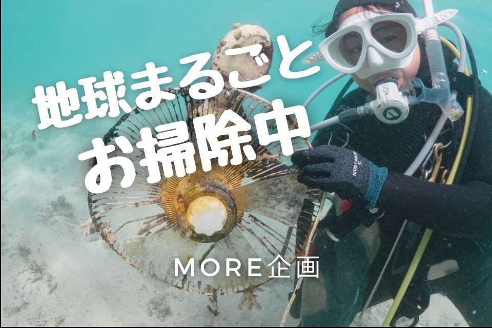 NPO法人MORE企画の画像